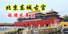 大鸡巴想狠狠的干小粉穴中国北京-东城古宫旅游风景区
